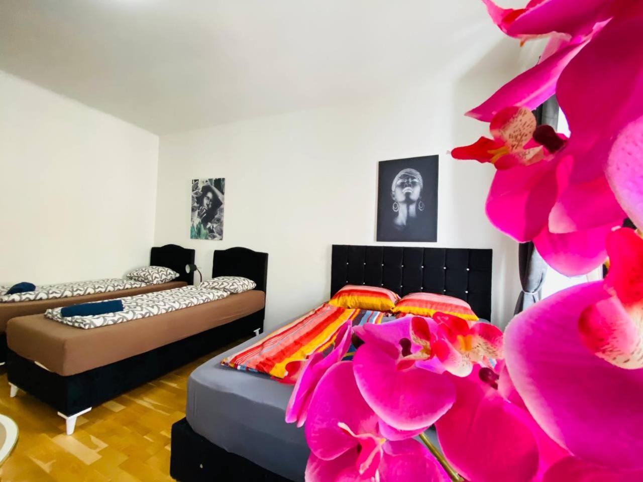Deluxe Studio In Josefstaedter Strasse Area Apartment Wien Ngoại thất bức ảnh