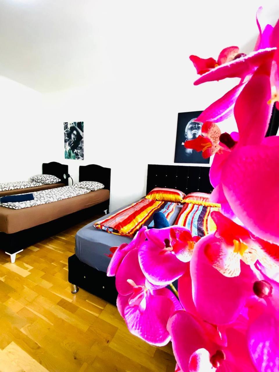 Deluxe Studio In Josefstaedter Strasse Area Apartment Wien Ngoại thất bức ảnh